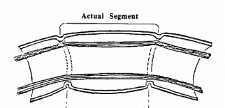 thoracic segments